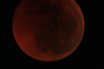 img_8292.jpg
